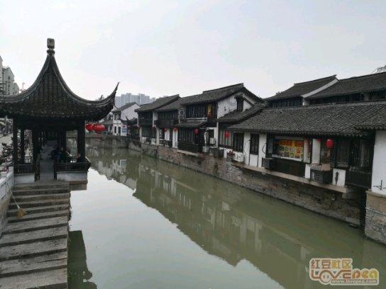 组团服务助增收 消费帮扶促振兴